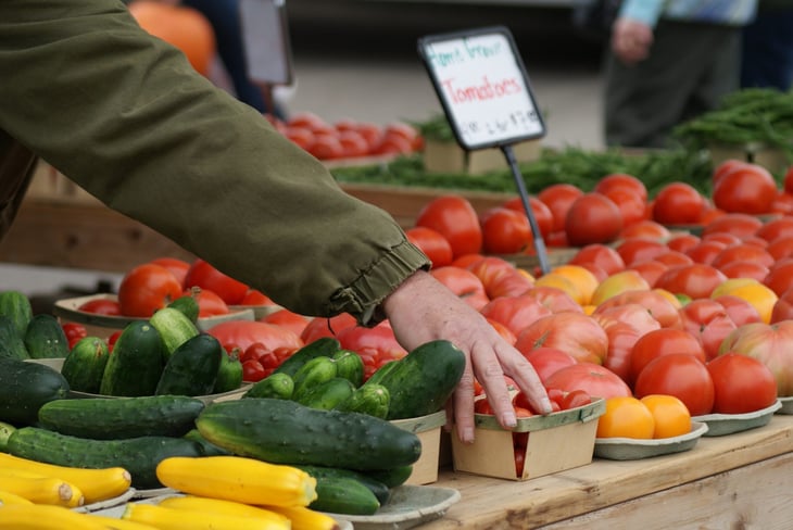 Farmers Market in Minneapolis, Minnesota